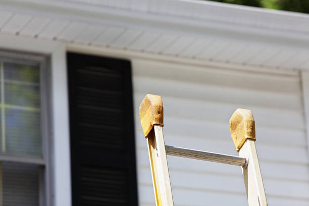 Best Siding Repair  in Hernando, MS